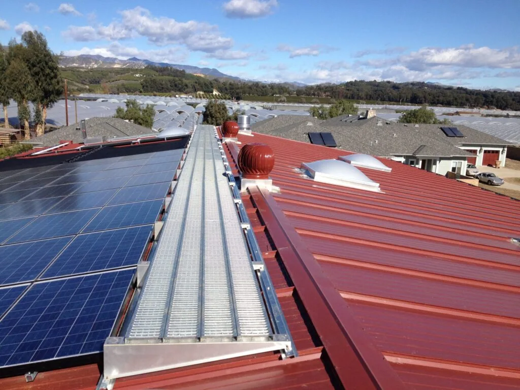 Roof Walks, image 1